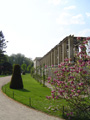 Potsdam Sanssouci Park Photo