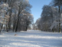 Potsdam Sanssouci Park Photo