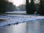 Potsdam Sanssouci Park Photo