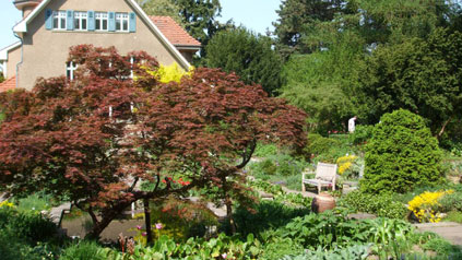 Karl Förster Garten